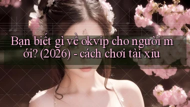 Bạn biết gì về okvip cho người mới (2026)   cách chơi tài xỉu