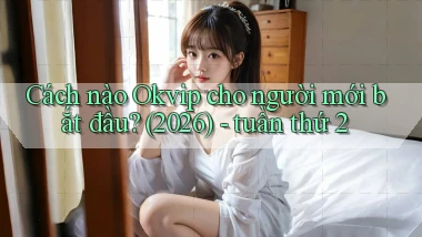Cách nào Okvip cho người mới bắt đầu (2026)   tuần thứ 2