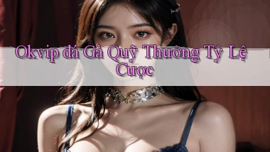 okvip  đá gà quỹ thưởng tỷ lệ cược