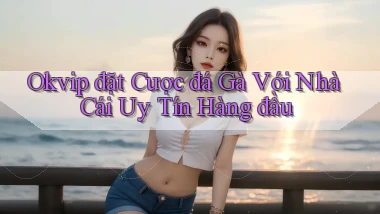 okvip  đặt cược đá gà với nhà cái uy tín hàng đầu