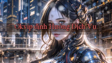 okvip  định hướng dịch vụ