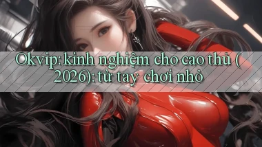 Okvip kinh nghiệm cho cao thủ (2026) từ tay chơi nhỏ