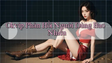 okvip phản hồi người dùng bao nhiêu