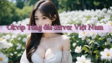 okvip tổng đài server việt nam