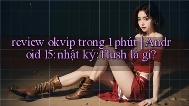 review okvip trong 1 phút Android 15 nhật ký flush là gì