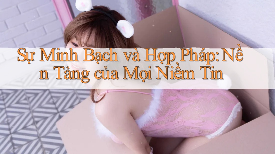 Sự Minh Bạch và Hợp Pháp: Nền Tảng của Mọi Niềm Tin Sự Minh Bạch và Hợp Pháp: Nền Tảng của Mọi Niềm Tin