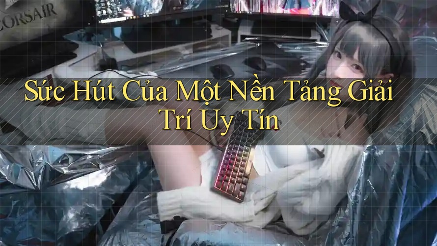 Sức Hút Của Một Nền Tảng Giải Trí Uy Tín