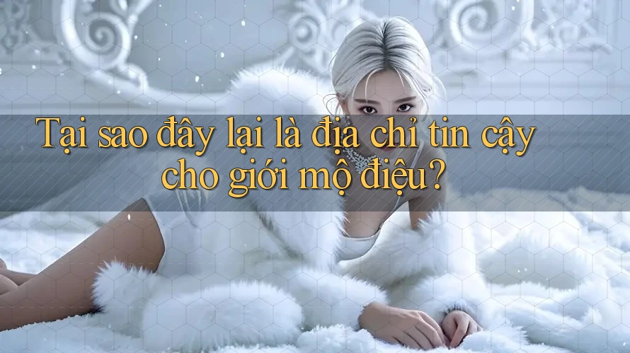 Tại sao đây lại là địa chỉ tin cậy cho giới mộ điệu?