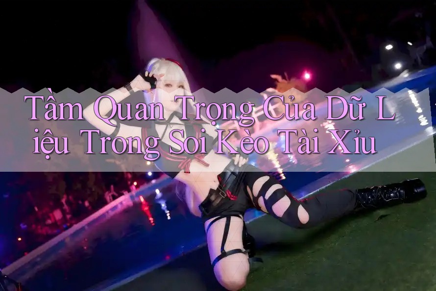Tầm Quan Trọng Của Dữ Liệu Trong Soi Kèo Tài Xỉu